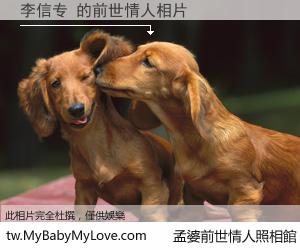李信专 的前世情人