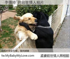 李倩婷 的前世情人