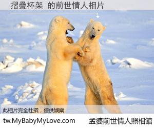 摺疊杯架 的前世情人