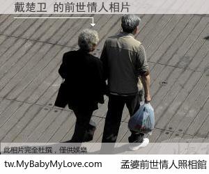 戴楚卫 的前世情人