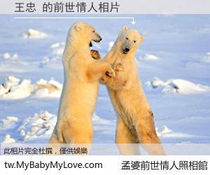 王忠 的前世情人