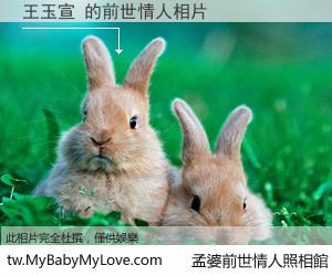王玉宣 的前世情人