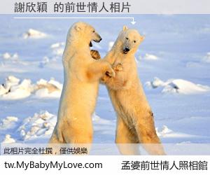 謝欣穎 的前世情人