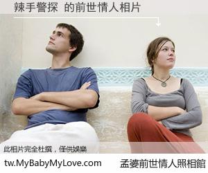 辣手警探 的前世情人