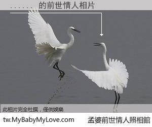 ...... 的前世情人