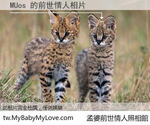 MUos 的前世情人