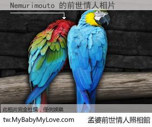 Nemurimouto 的前世情人