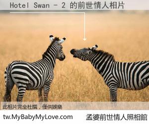 Hotel Swan - 2 的前世情人