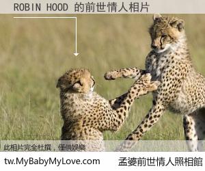 ROBIN HOOD 的前世情人