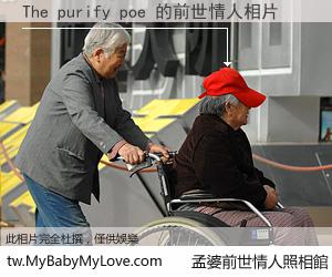 The purify poe 的前世情人