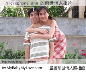 microphone arm 的前世情人