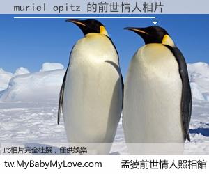muriel opitz 的前世情人