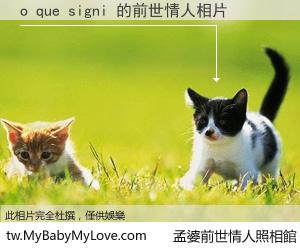 o que signi 的前世情人