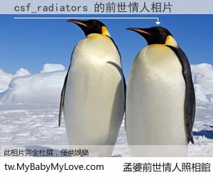 csf_radiators 的前世情人