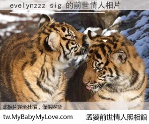 evelynzzz sig 的前世情人