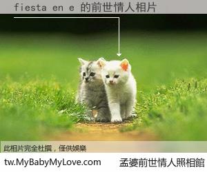 fiesta en e 的前世情人