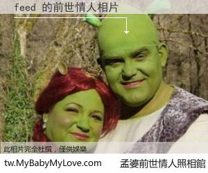 feed 的前世情人