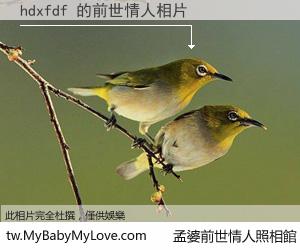 hdxfdf 的前世情人