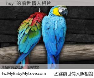 hsy 的前世情人
