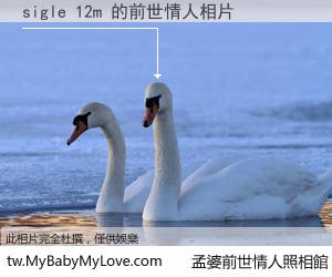 sigle 12m 的前世情人
