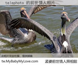 telephoto 的前世情人
