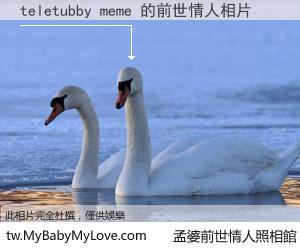 teletubby meme 的前世情人