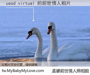 uasd virtual 的前世情人