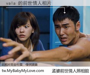 vala 的前世情人