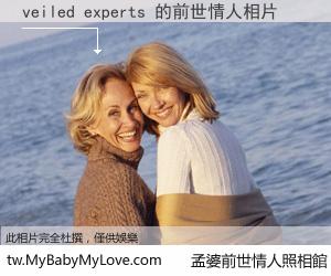 veiled experts 的前世情人