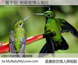 葛子剑 的前世情人