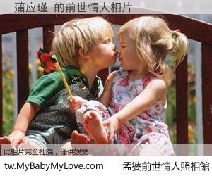 蒲应瑾 的前世情人