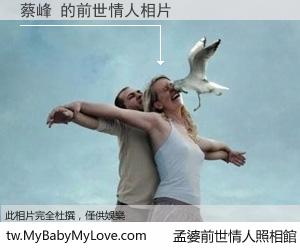 蔡峰 的前世情人