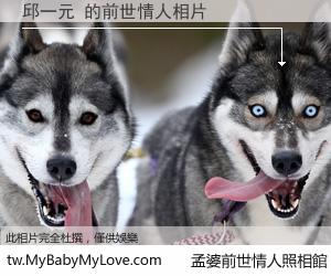 邱一元 的前世情人
