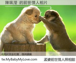 陳珮瀅 的前世情人