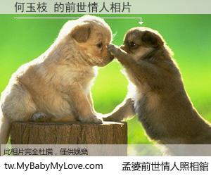 何玉枝 的前世情人