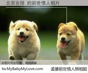 北京女排 的前世情人