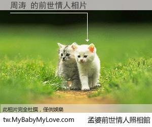 周涛 的前世情人