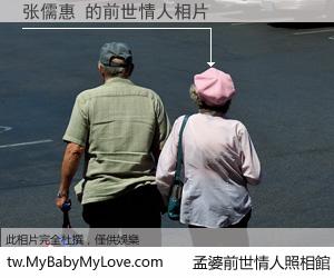 张儒惠 的前世情人
