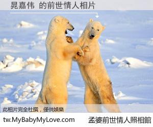晁嘉伟 的前世情人