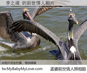 李之靖 的前世情人
