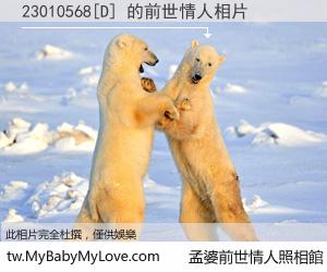 23010568[D] 的前世情人