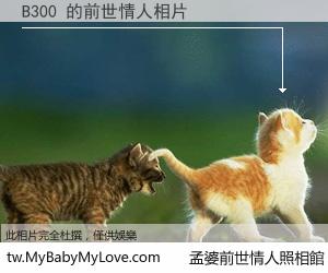 B300 的前世情人