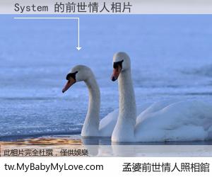 System 的前世情人