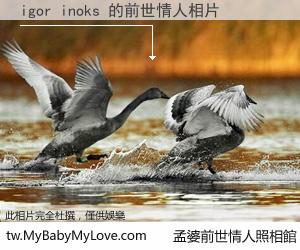 igor inoks 的前世情人
