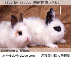 itsy by treebo 的前世情人
