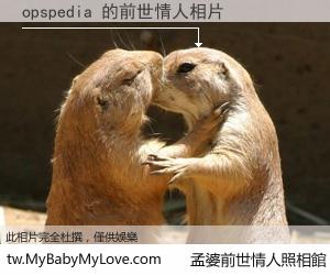 opspedia 的前世情人