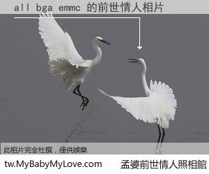 all bga emmc 的前世情人