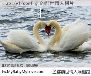 api/v1/config 的前世情人