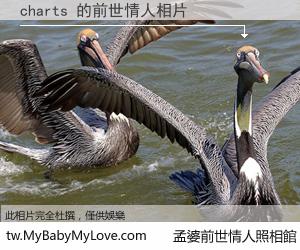 charts 的前世情人
