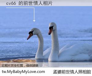 cv66 的前世情人